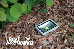 Led reflektor, mogyoróbokor alatt (33)